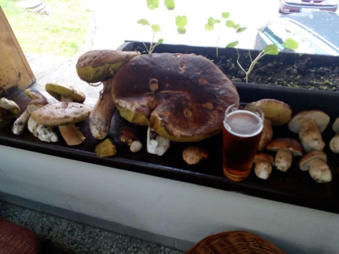 Na Losenici Nicov  Zewnętrze zdjęcie